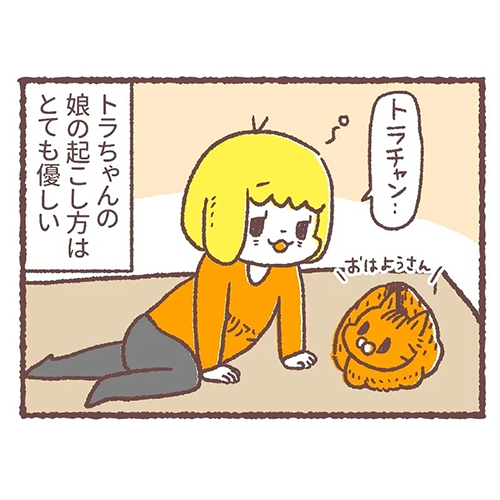 猫の起こし方の差4