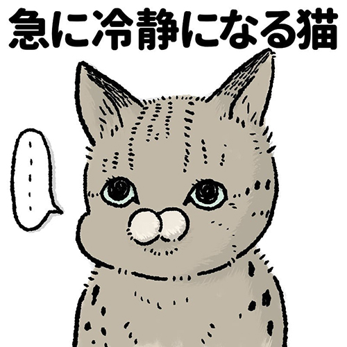 急に冷静になる猫1