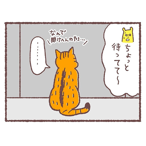 急に冷静になる猫3
