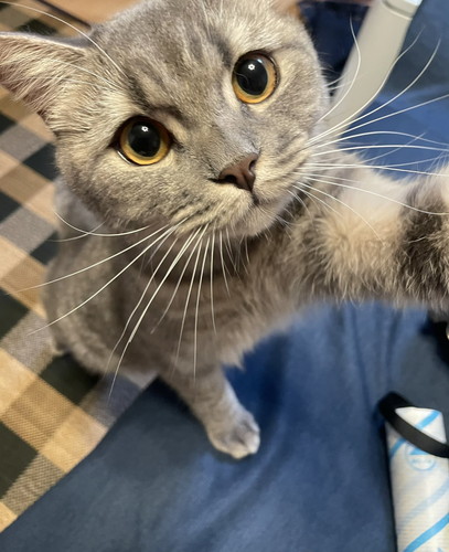 いろんな凛太郎くん