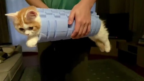 筋膜ローラーハイブリッドネコちゃん