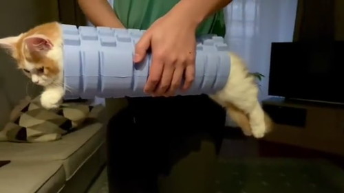 筋膜ローラーハイブリッドネコちゃん