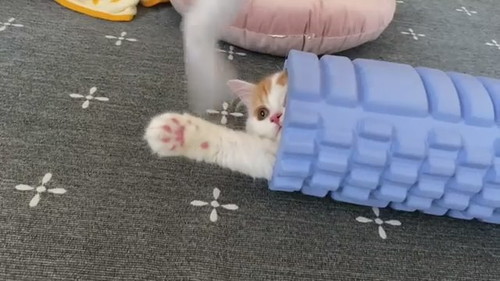 筋膜ローラーハイブリッドネコちゃん