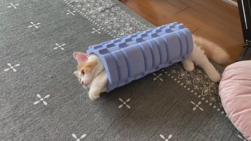 筋膜ローラーハイブリッドネコちゃん