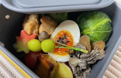 JAL モンベル チャーターフライト