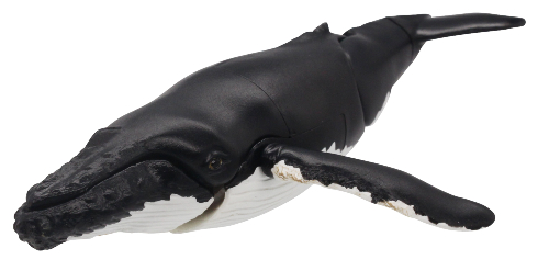 極地のいきもの