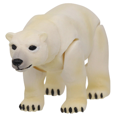 極地のいきもの