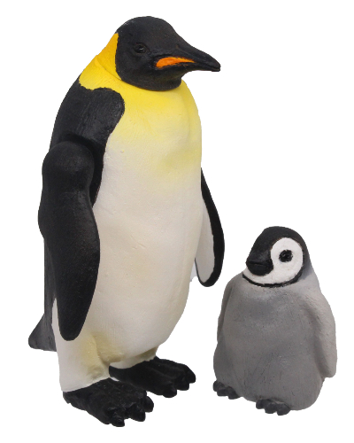 極地のいきもの