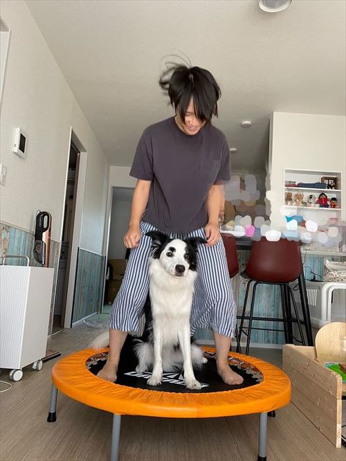 前回マロ