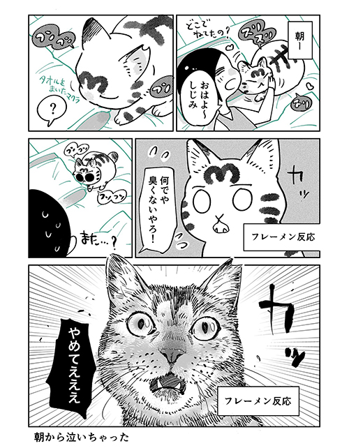 3本足のしじみちゃん147