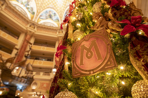 東京ディズニーリゾート クリスマス