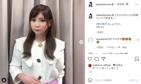 中川翔子 風評被害 逮捕 書類送検 誹謗中傷