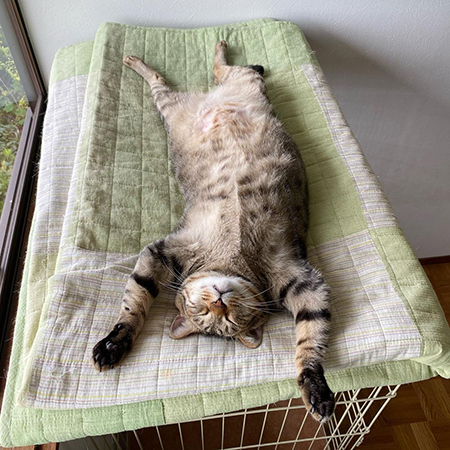 豪快な寝相直した後