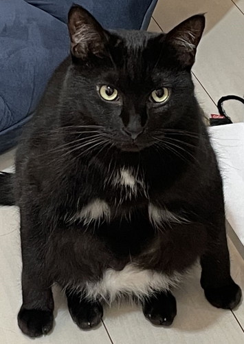 変な座り方をするもずくくん