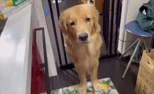 おすすめ