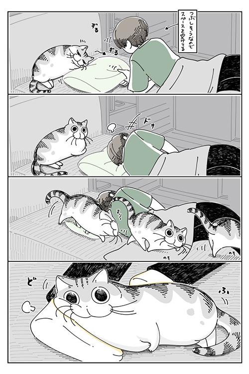 際どい場所で寝たいらしい2