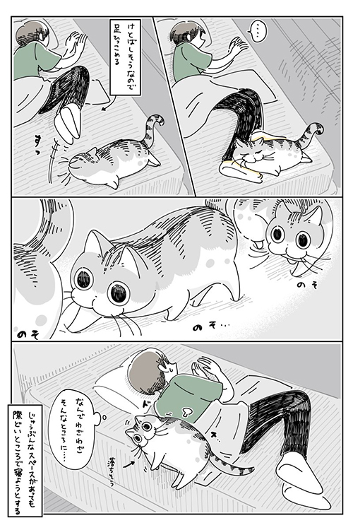 際どい場所で寝たいらしい3