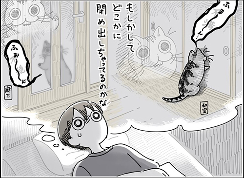 ねこが心配になる夜中トリミング