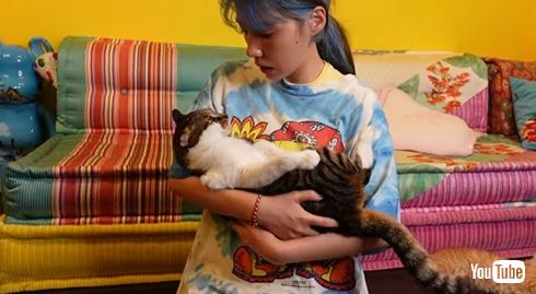 仲里依紗 子猫 きなこ おかか トカゲ