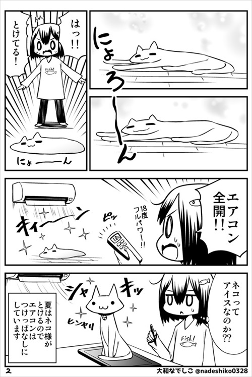 全猫飼いさんが共感する猫あるある