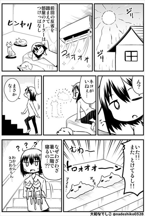 全猫飼いさんが共感する猫あるある