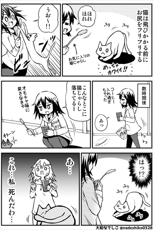 全猫飼いさんが共感する猫あるある