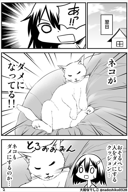 全猫飼いさんが共感する猫あるある