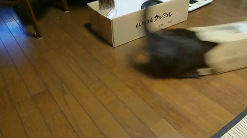 動画・残像ヤマトくん2