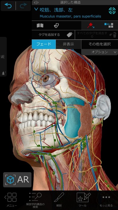 3D人体模型アプリ「ヒューマン・アナトミー・アトラス2021」が