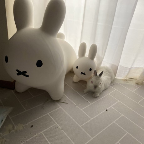 ブルーナボンボンとウサギさん