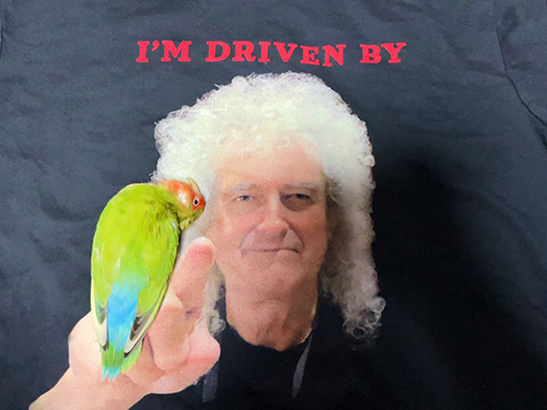 なでられ待ちインコさん下から