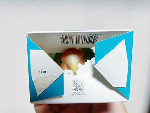 箱から顔が出てる