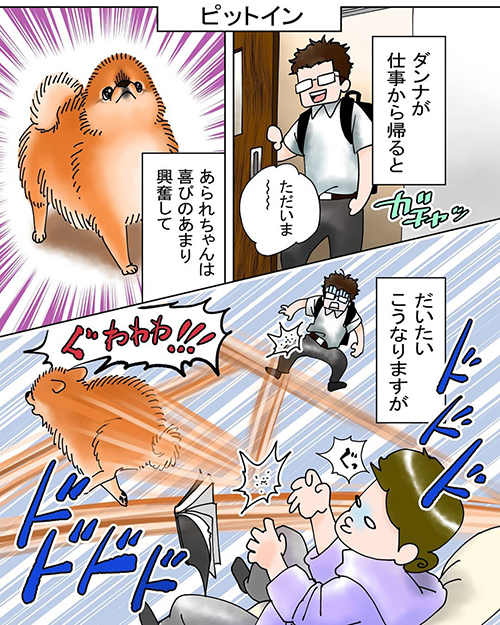 ピットイン1