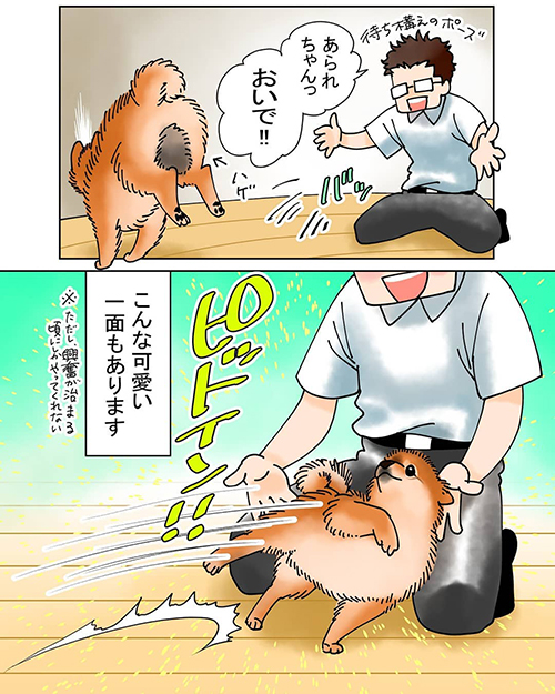 ピットイン2