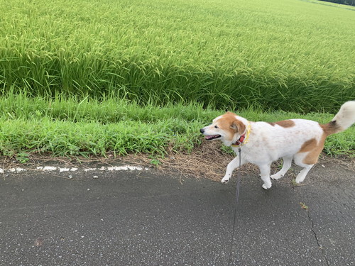 ムッさん
