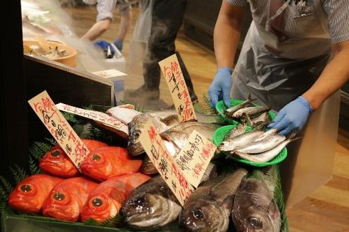 しおさい 貨客混載