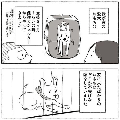 犬