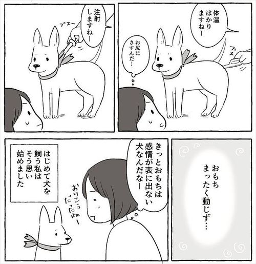 犬