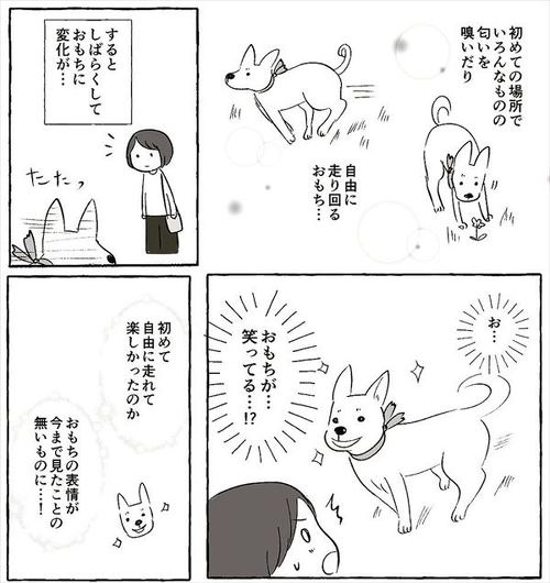 犬