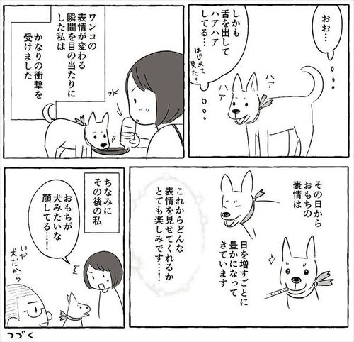 犬