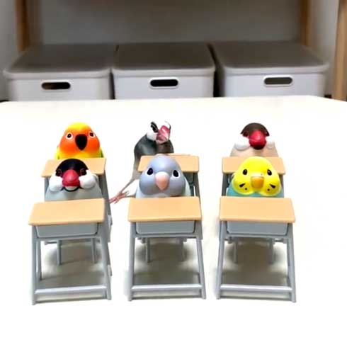 席に着く 文鳥 学校 着席 ミニチュア