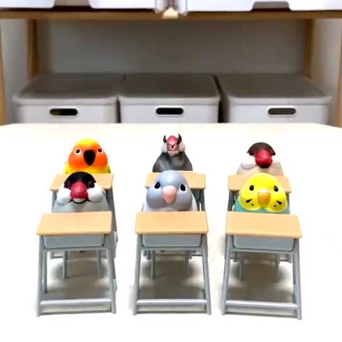 席に着く 文鳥 学校 着席 ミニチュア