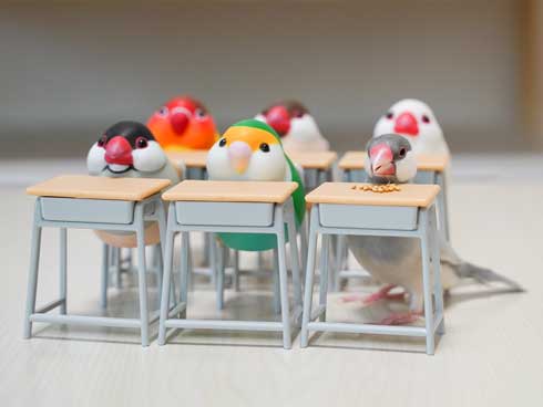 席に着く 文鳥 学校 着席 ミニチュア