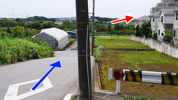 【PR】ダイドードリンコ「Smile STAND」 Smile Walk企画