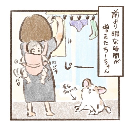 遊んでもらえると勘違いするワンちゃん