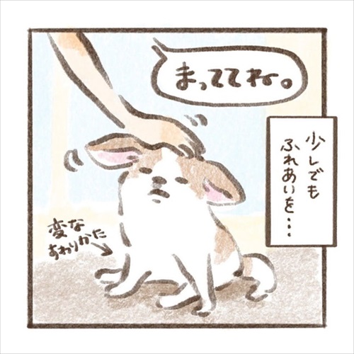 遊んでもらえると勘違いするワンちゃん