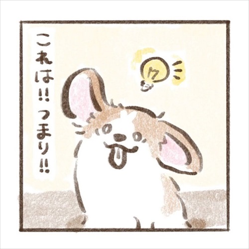 遊んでもらえると勘違いするワンちゃん