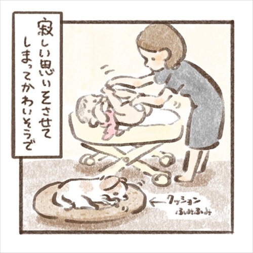 遊んでもらえると勘違いするワンちゃん