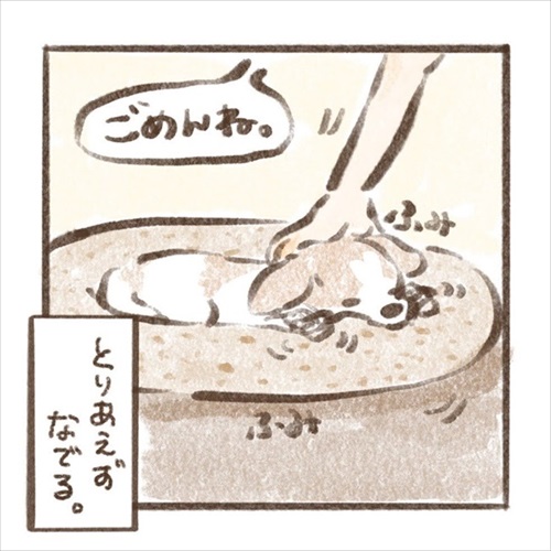 遊んでもらえると勘違いするワンちゃん