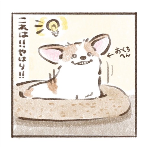 遊んでもらえると勘違いするワンちゃん